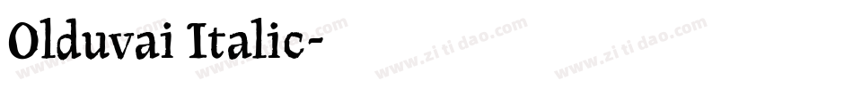 Olduvai Italic字体转换